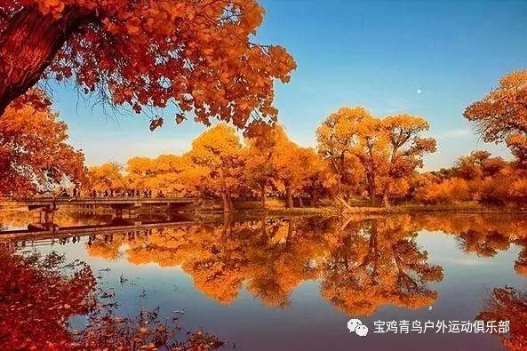 局地降雪深度达40厘米，河南31日再迎雨雪天气